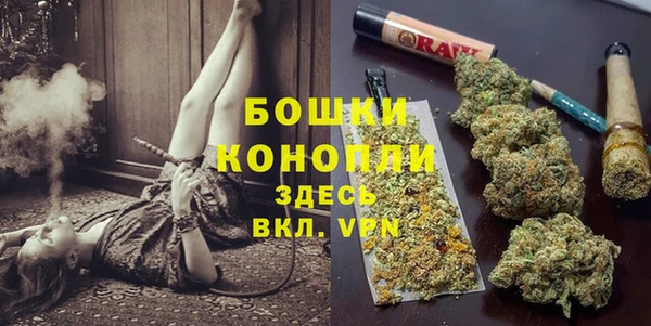 молекула духа Бугульма