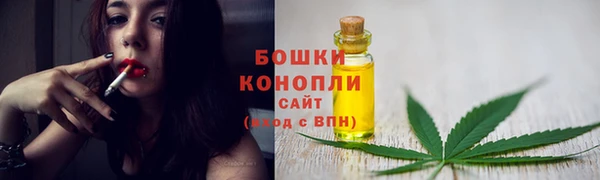Альфа ПВП Бородино