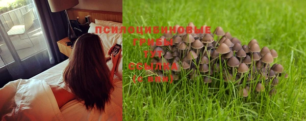 молекула духа Бугульма