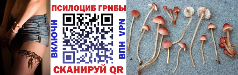 Псилоцибиновые грибы Magic Shrooms  где купить   Красноярск 